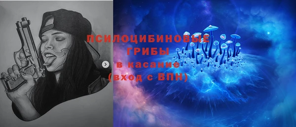 гидра Белокуриха