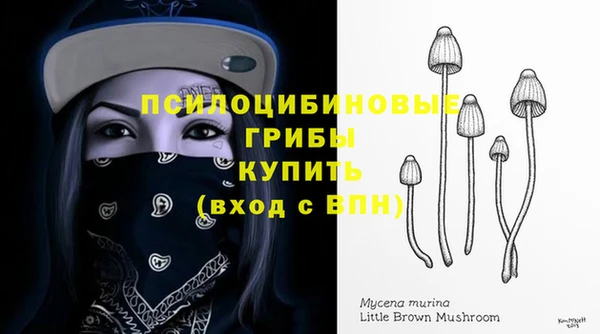 ПСИЛОЦИБИНОВЫЕ ГРИБЫ Белоозёрский