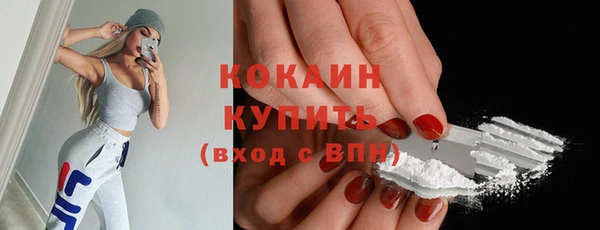 гидра Белокуриха