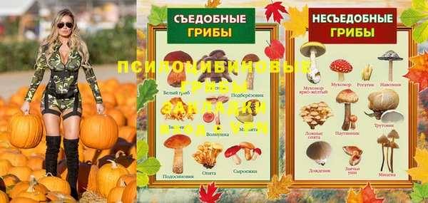 крисы Струнино