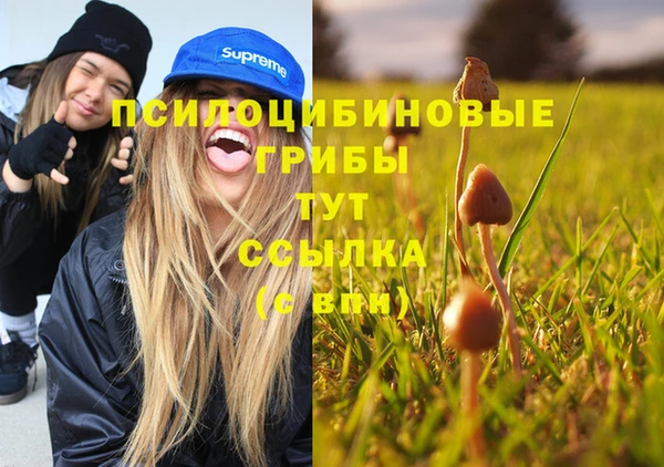 спайс Беломорск