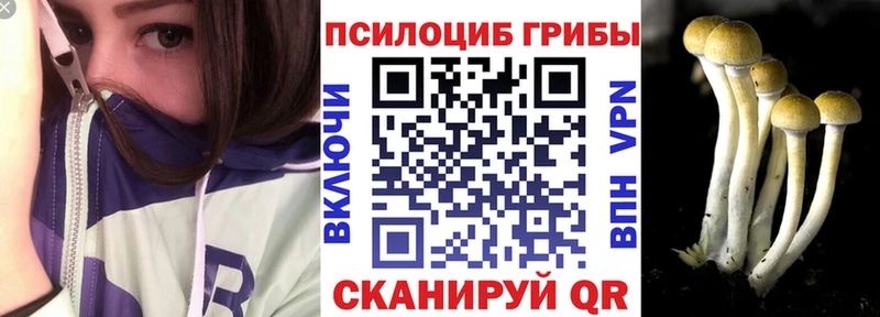 сайты даркнета клад  Дигора  Псилоцибиновые грибы ЛСД 